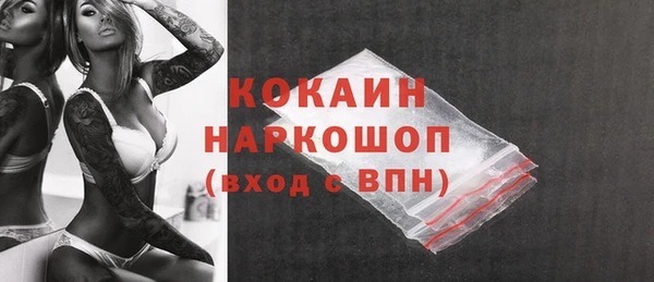 ГАЛЛЮЦИНОГЕННЫЕ ГРИБЫ Осинники