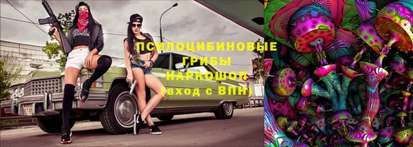 ПСИЛОЦИБИНОВЫЕ ГРИБЫ Пестово