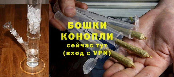 ГАЛЛЮЦИНОГЕННЫЕ ГРИБЫ Осинники